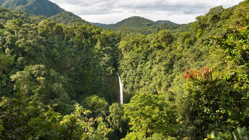 Arenal e Monteverde
