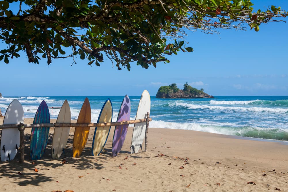 Surf in Costa Rica: What's the Best Period?