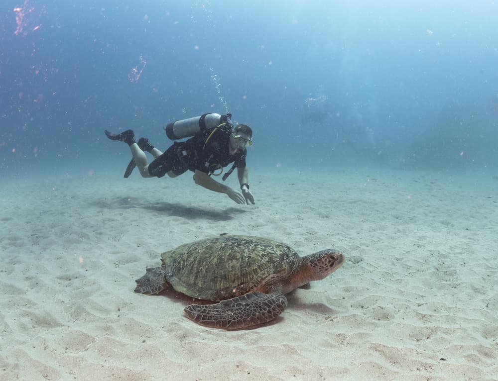 I migliori luoghi dove fare immersioni al Costa Rica